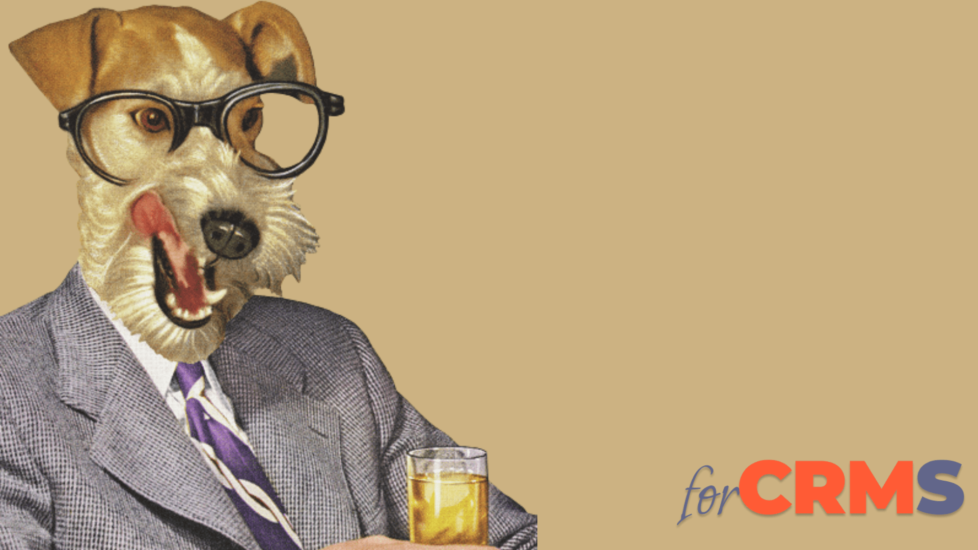 Top 7 Free HubSpot Themes for Nonprofits